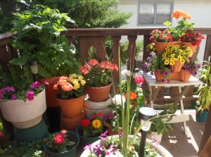 front porch on May 29th 2014 002